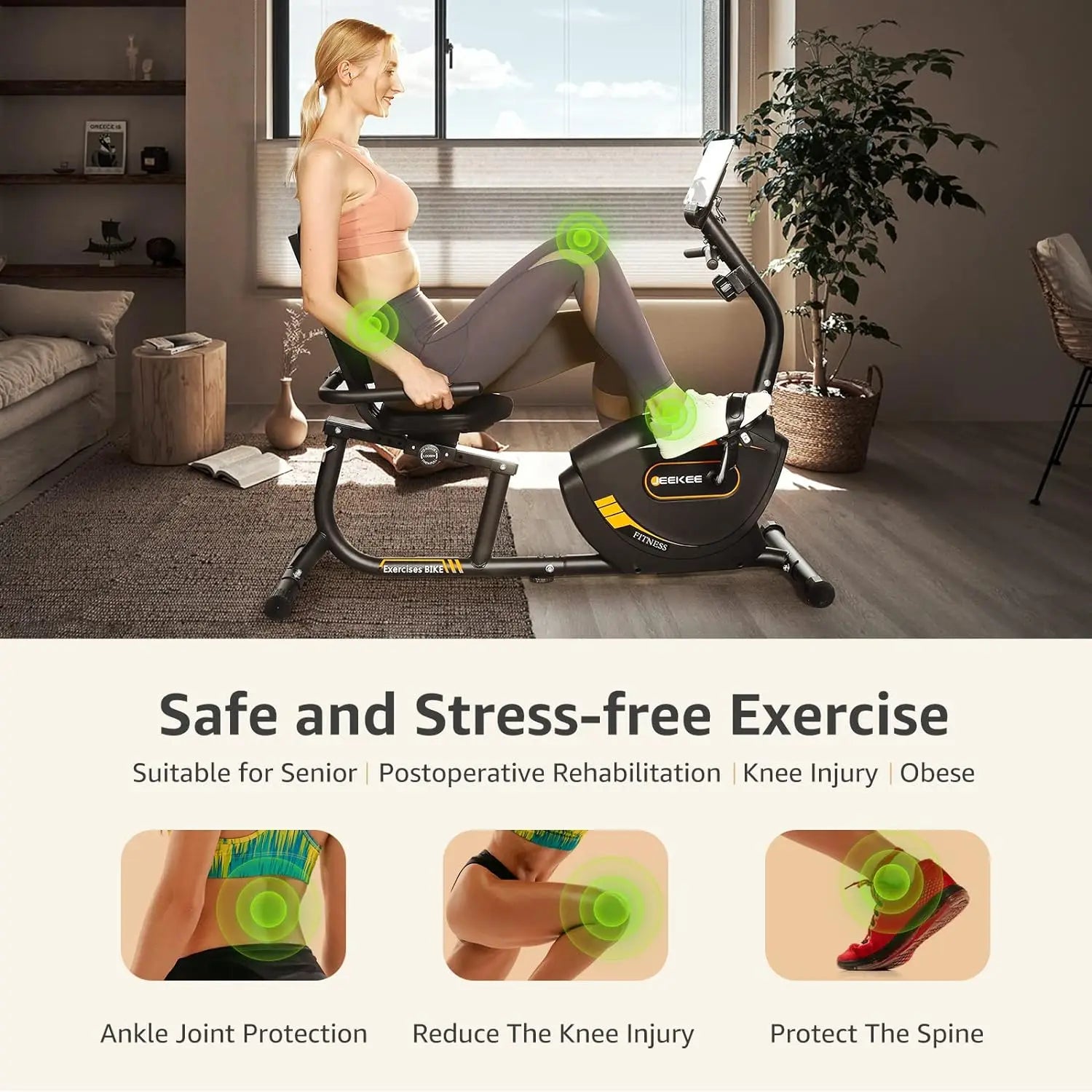Recumbent Exercise Bike for Adults Seniors