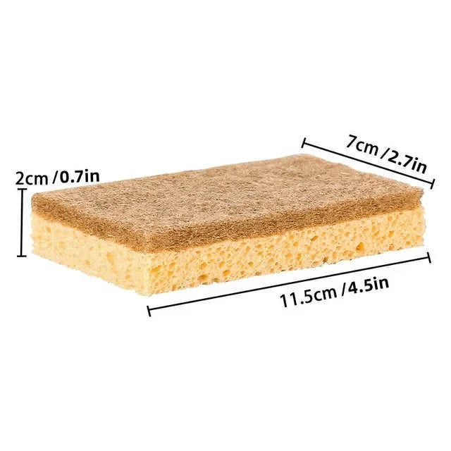 50045666132281